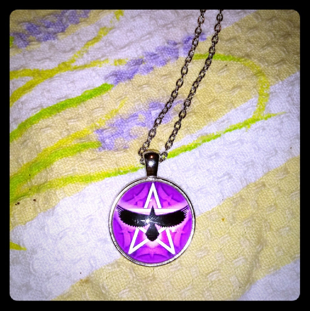 🆕Healing Raven Pentagram Necklace